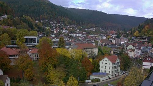 Webcam Bad Wildbad