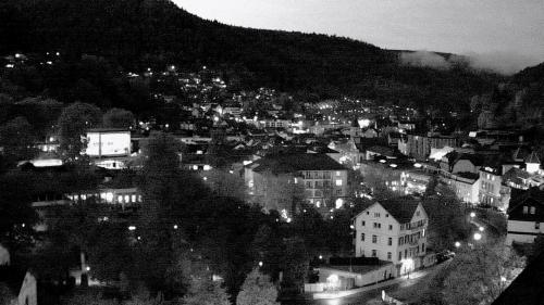 Webcam Bad Wildbad