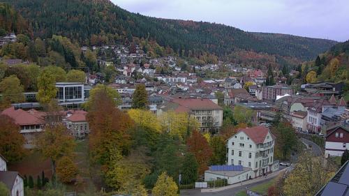 Webcam Bad Wildbad