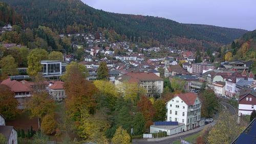 Webcam Bad Wildbad