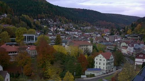 Webcam Bad Wildbad