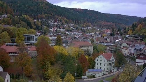 Webcam Bad Wildbad