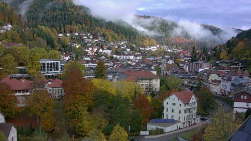 Webcam Bad Wildbad