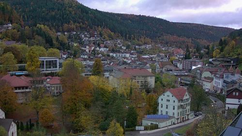 Webcam Bad Wildbad