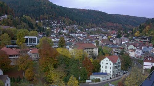 Webcam Bad Wildbad