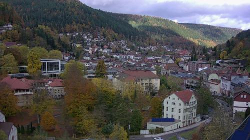 Webcam Bad Wildbad