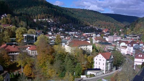 Webcam Bad Wildbad