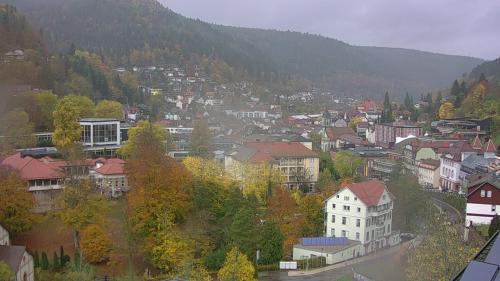 Webcam Bad Wildbad
