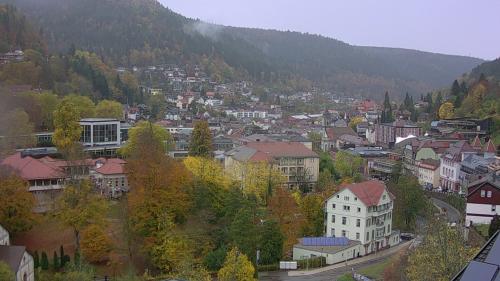 Webcam Bad Wildbad