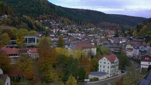 Webcam Bad Wildbad
