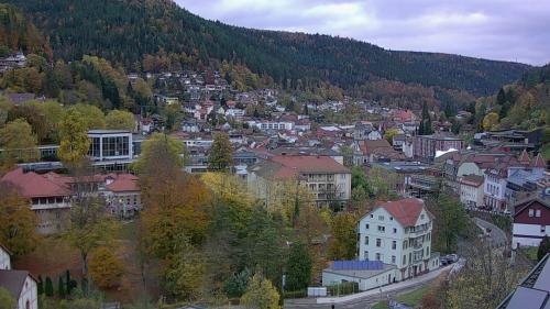 Webcam Bad Wildbad