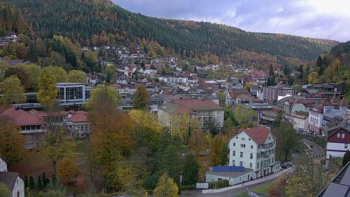 Webcam Bad Wildbad