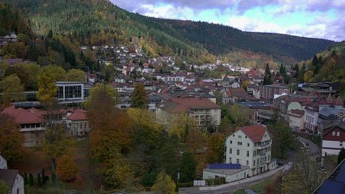 Webcam Bad Wildbad