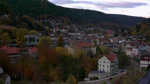 Webcam Bad Wildbad