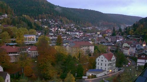 Webcam Bad Wildbad