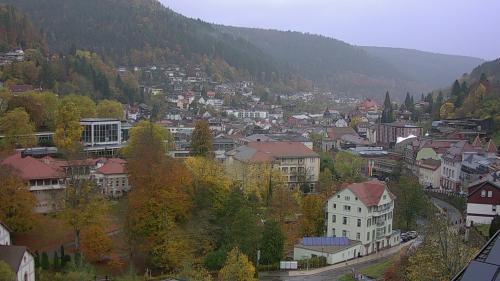 Webcam Bad Wildbad