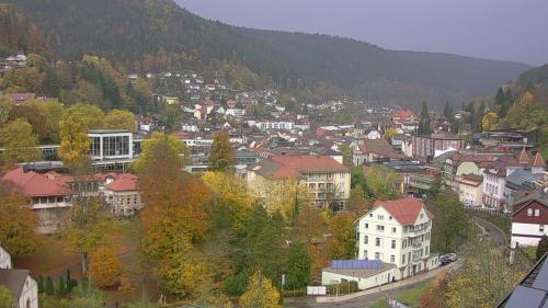 Webcam Bad Wildbad