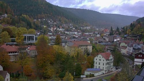 Webcam Bad Wildbad