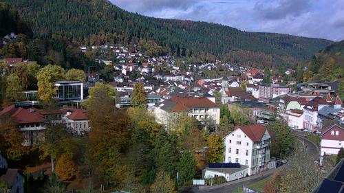 Webcam Bad Wildbad