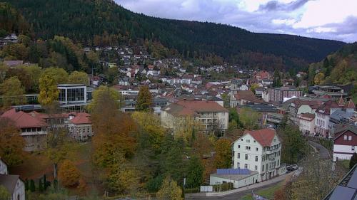 Webcam Bad Wildbad