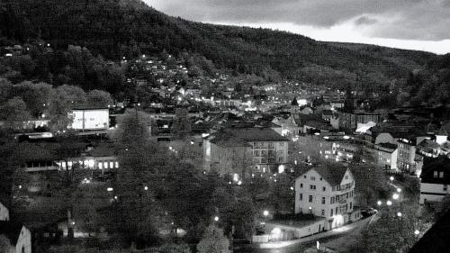 Webcam Bad Wildbad