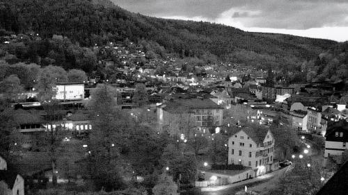 Webcam Bad Wildbad