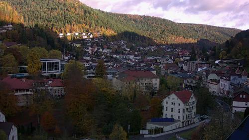 Webcam Bad Wildbad