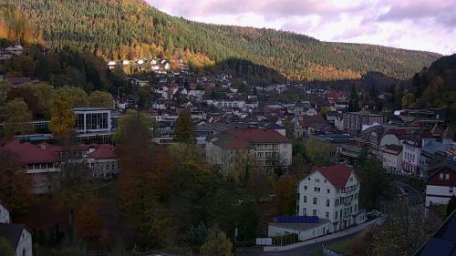 Webcam Bad Wildbad