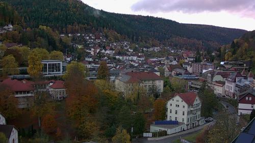 Webcam Bad Wildbad