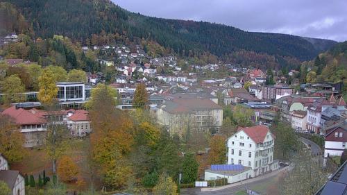 Webcam Bad Wildbad