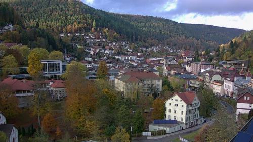 Webcam Bad Wildbad