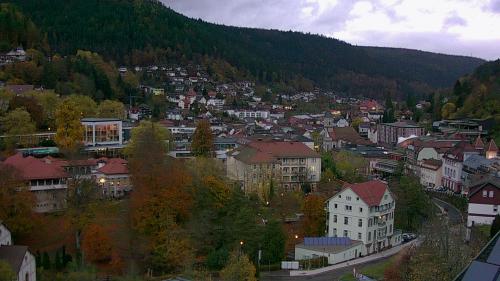 Webcam Bad Wildbad