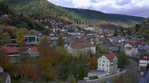 Webcam Bad Wildbad