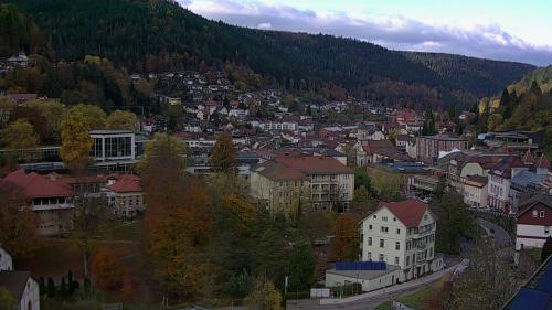 Webcam Bad Wildbad