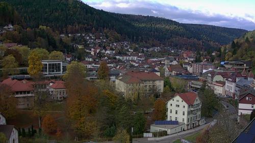 Webcam Bad Wildbad