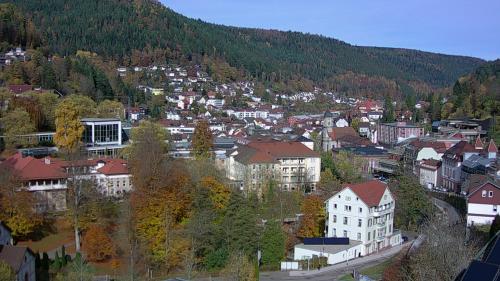 Webcam Bad Wildbad
