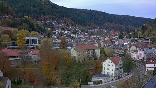Webcam Bad Wildbad