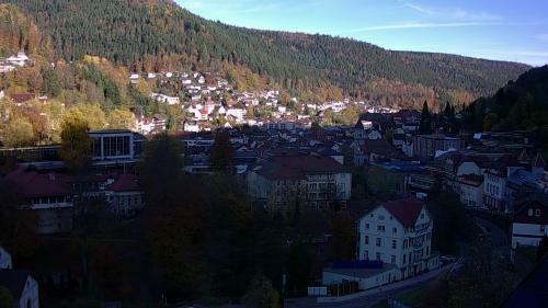Webcam Bad Wildbad