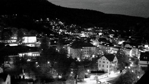 Webcam Bad Wildbad