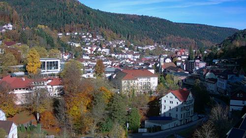 Webcam Bad Wildbad