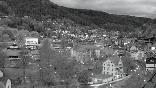 Webcam Bad Wildbad