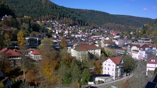 Webcam Bad Wildbad