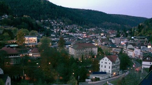 Webcam Bad Wildbad