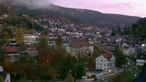 Webcam Bad Wildbad