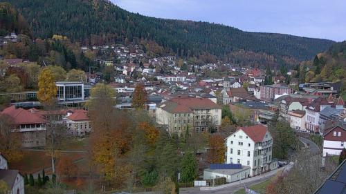 Webcam Bad Wildbad
