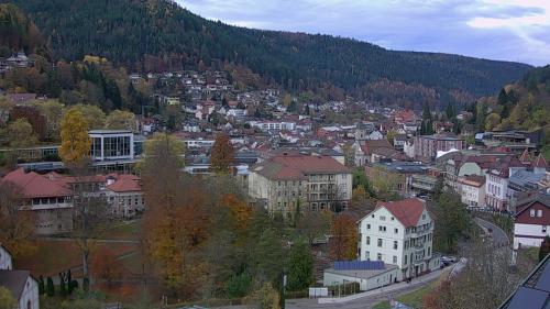 Webcam Bad Wildbad