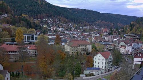 Webcam Bad Wildbad