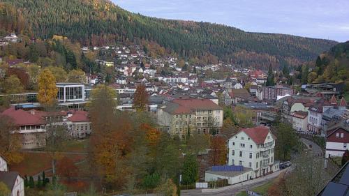 Webcam Bad Wildbad