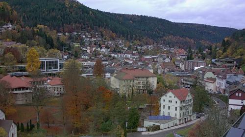 Webcam Bad Wildbad