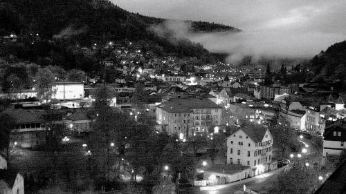 Webcam Bad Wildbad